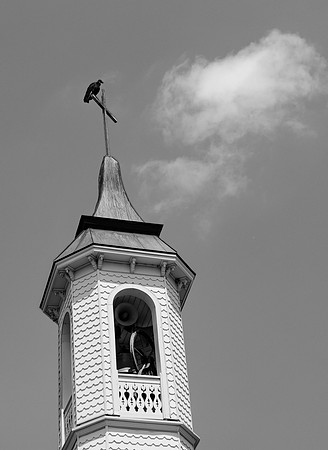 L1010319